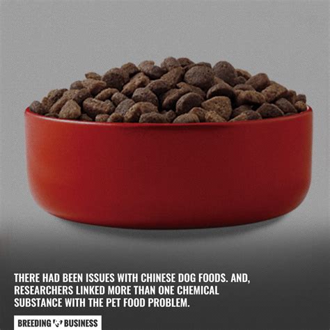 China poisoning pet treats